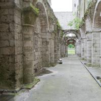 Abbaye de Jumièges - Interior, ruins of nave tribune