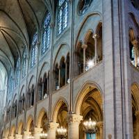 Cathédrale Notre-Dame de Paris - Interior, north nave elevation looking northwest