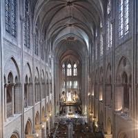 Cathédrale Notre-Dame de Paris - Interior, nave, gallery level looking east