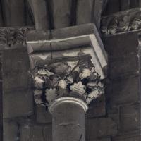 Cathédrale Saint-Maurice d'Angers - Interior, chevet, hemicycle, clerestory, vaulting shaft capital