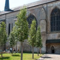Église Sainte-Radegonde de Poitiers - Exterior, north nave elevation