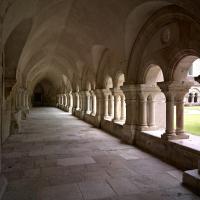 Abbaye de Fontenay - Interior, cloister