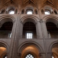 Norwich Cathedral - Interior, nave, north elevation