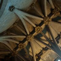 Bristol Cathedral - Interior, Berkeley chapel vault