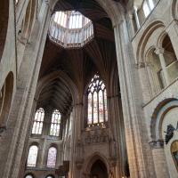 Ely Cathedral - Interior, south trancept elevation 