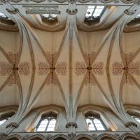 Wells Cathedral - Interior, nave vault 