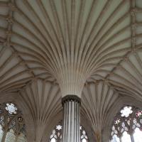 Wells Cathedral - Interior, chapter house vault 
