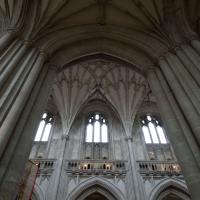 Winchester Cathedral - Interior, nave elevation 