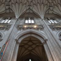 Winchester Cathedral - Interior,  north aisle elevation 