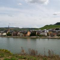 Moselle River - View of Area at the Confluence of the Sûre and Moselle Rivers