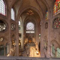 Cathédrale Notre-Dame de Paris - Interior: south transept, rose window
