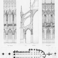 Cathédrale Notre-Dame de Reims - Floorplan, elevation section