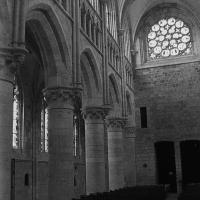 Collégiale Notre-Dame d'Auffay - Interior, nave looking west
