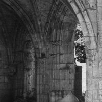 Abbaye de Jumièges - Interior, aisle ruins
