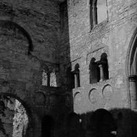 Abbaye de Jumièges - Interior, nave ruins