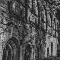 Abbaye de Mortemer - Ruins of abbaye, nave wall