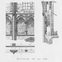 Cathédrale Saint-Cyr-Sainte-Juiliette de Nevers - Drawing, interior elevation of nave triforium