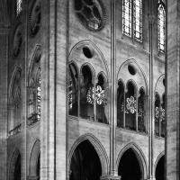 Cathédrale Notre-Dame de Paris - Interior, crossing