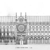 Cathédrale Notre-Dame de Paris - Drawing, longitudinal north elevation