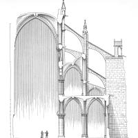 Cathédrale Notre-Dame de Paris - Drawing, transverse section of nave and aisles