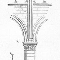 Cathédrale Notre-Dame de Paris - Drawing, elevation of nave column