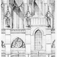 Cathédrale Notre-Dame de Paris - Drawing, longitudinal elevation of the nave
