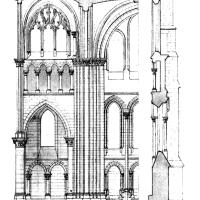 Église Notre-Dame-de-l’Assomption de Taverny - Drawing, longitudinal section