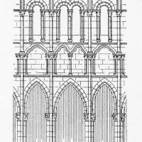 Église Saint-Amable de Riom - Drawing, longitudinal elevation